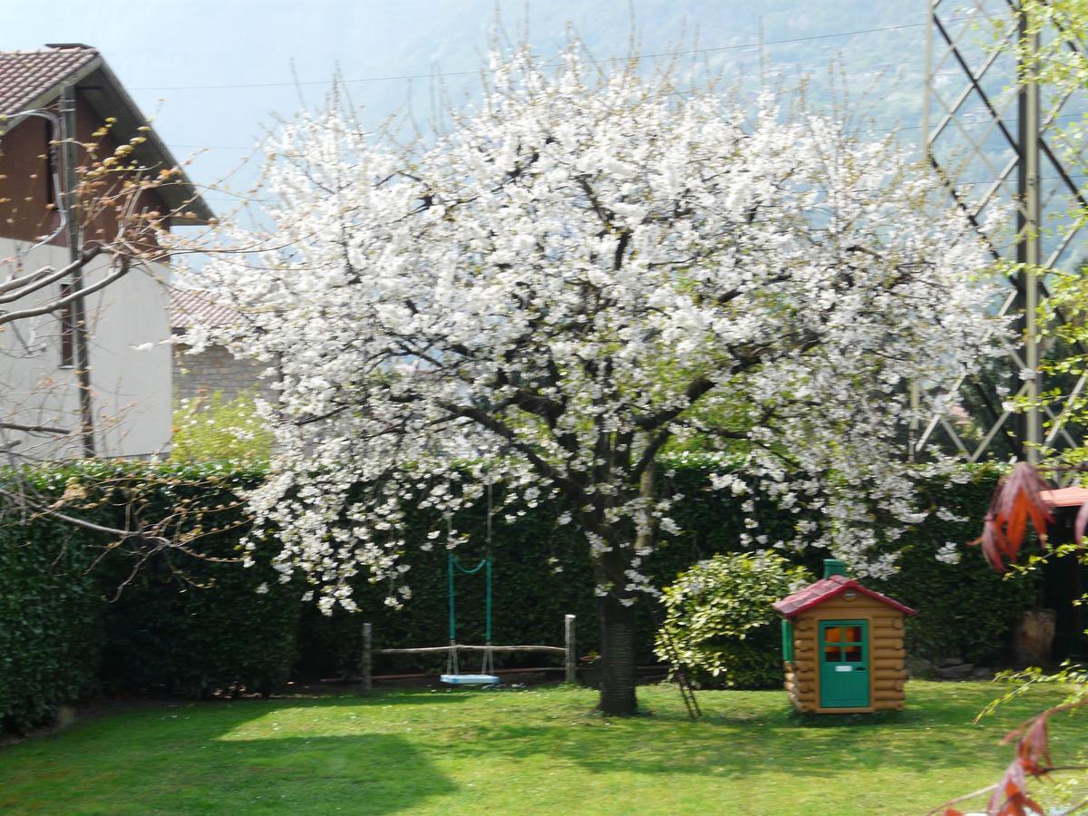Bed and Breakfast La Casa Di Clara Esine Екстер'єр фото