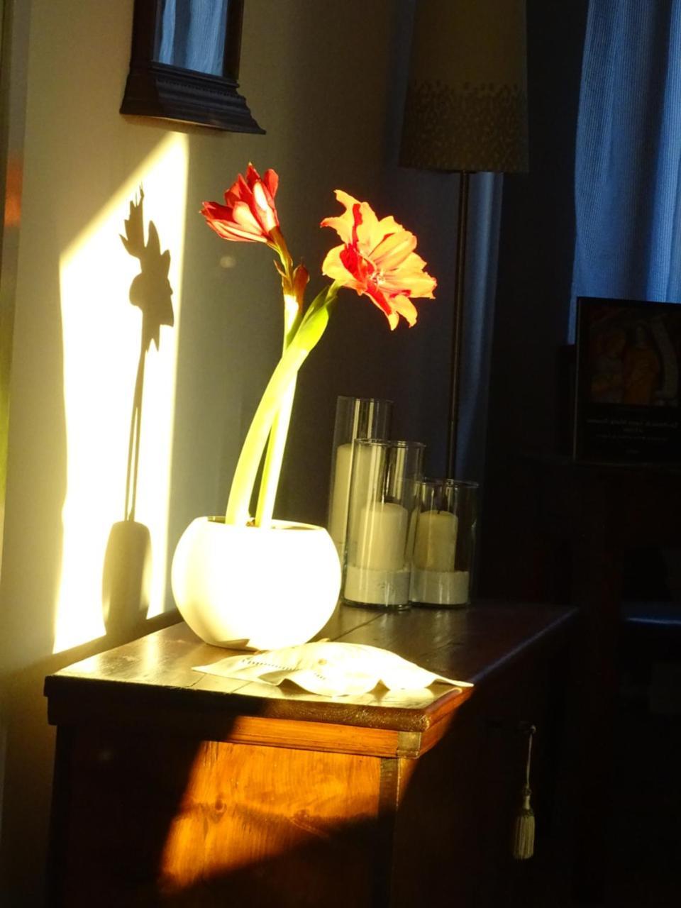 Bed and Breakfast La Casa Di Clara Esine Екстер'єр фото